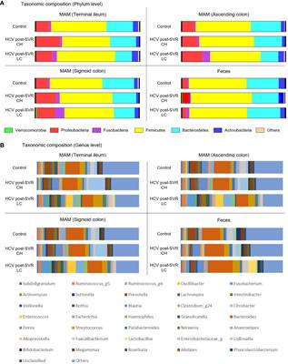 Isolation of mucosa-associated microbiota dysbiosis in the ascending colon in hepatitis C virus post-sustained virologic response cirrhotic patients